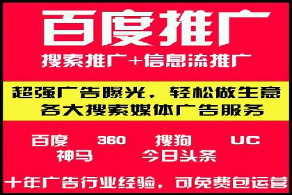 揭秘百度竞价广告：实战案例分析及优化策略